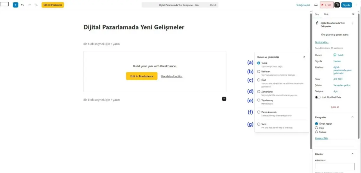 Blog Durum ve Gorunurluk