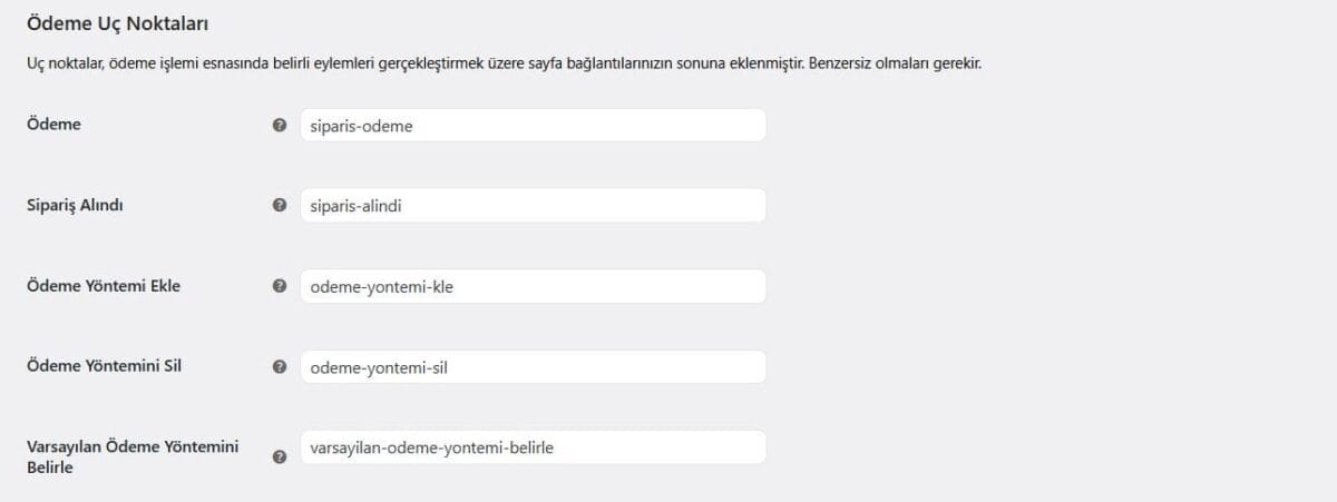 Odeme Uc Noktalari Panel Gorunumu 1